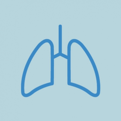 Sistema Respiratório