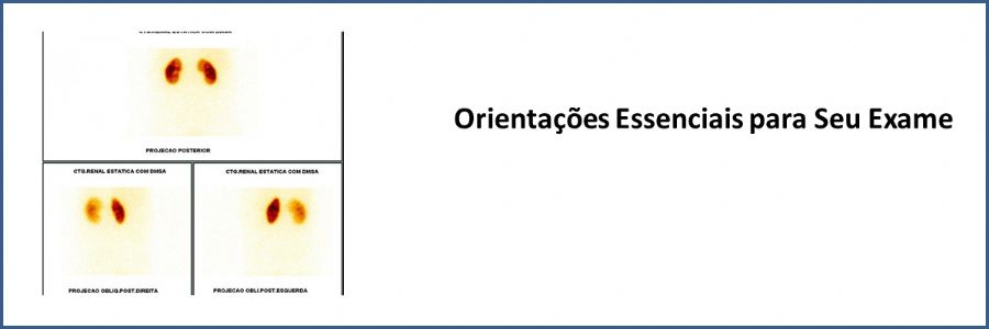 Cintilografia Renal Estática ( DMSA )